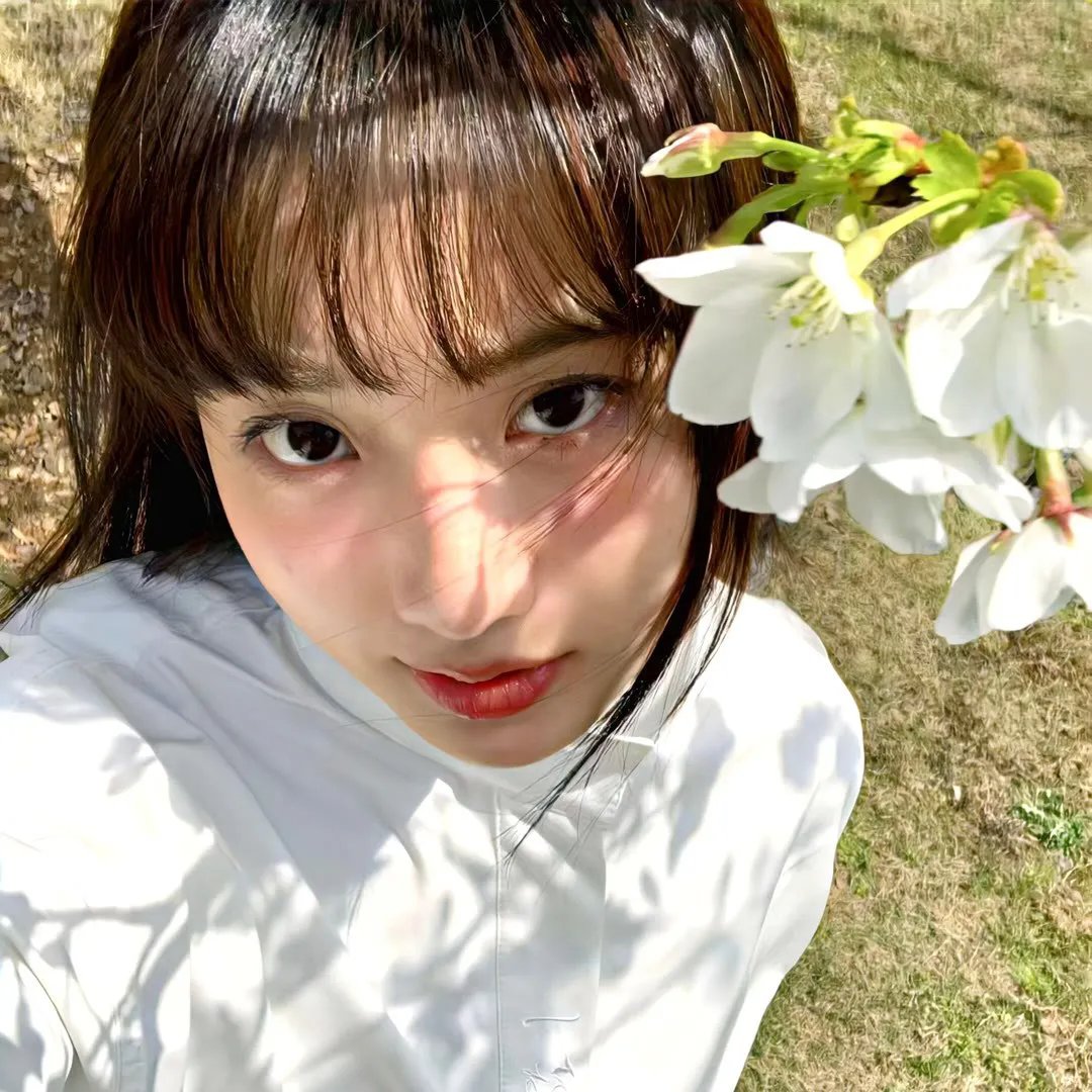 我的吸血鬼姊妹